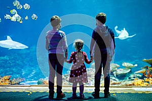 Two kids boys and toddler girl visiting together zoo aquarium. Three children watching fishes and jellyfishes. School