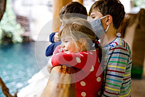 Two kids boys and toddler girl visiting together zoo. Three children watching animals and insects. School boys wearing