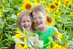 Two kids having fun among sunflower