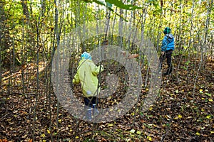 Two kids walking throug a dense young forest..