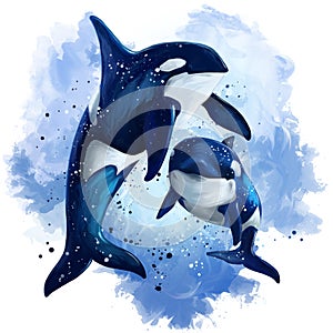 Two killer whales in the ocean. Watercolor painting