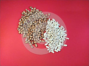 Two kinds of beans on a red background. White and motley beans. The concept of male and female, yin and yang. Postcard