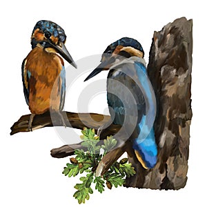 Two kingfishers on a branch