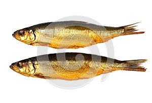 Two kippers, smoked herring on white background
