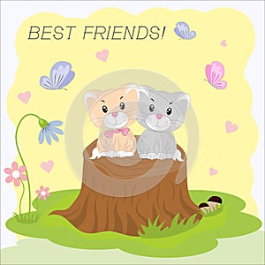 Two kittens. Best friends