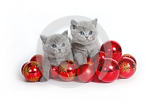 Two kittens with Christmas balls
