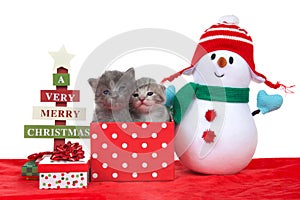 Two kittens in a Christmas present with snowman