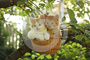 Two kittens sitting in the basket hanging on the tree