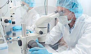 Two lab technicians or scientists working in laboratory