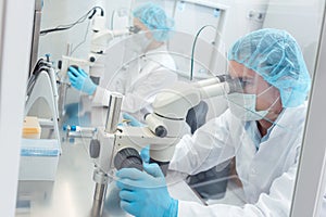 Two lab technicians or scientists working in laboratory