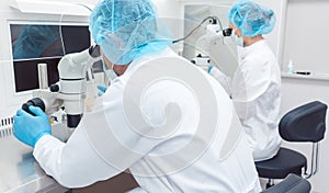 Two lab technicians or scientists working in laboratory