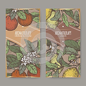 Two labels with color Orange blossom and lemon sketch.