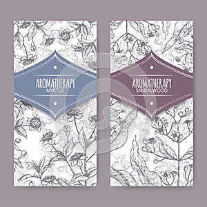 Two labels with Common myrtle aka Myrtus communis and Indian sandalwood aka Santalum album sketch on lace background.