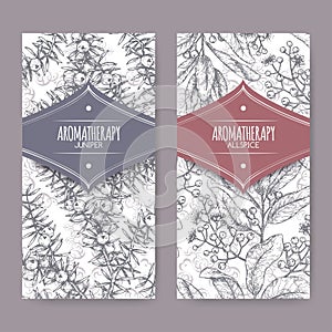 Two labels with Juniperus communis aka juniper and Pimenta dioica aka allspice sketch on elegant lace background.