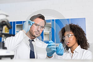Two Laboratory Scientists Examining Liquid In Test Tube, Mix Race Lab Workers Study Results Of Chemical Research