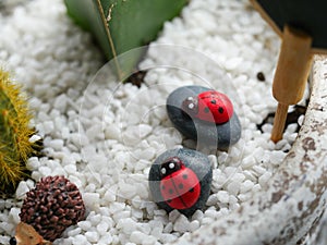 Two lady bugs props positioned in a cactus vessel