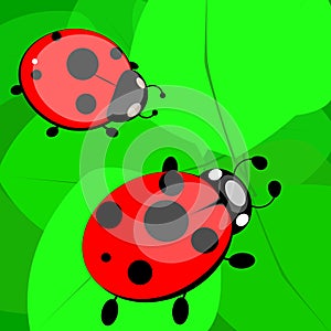 Two ladybirds on a leaf