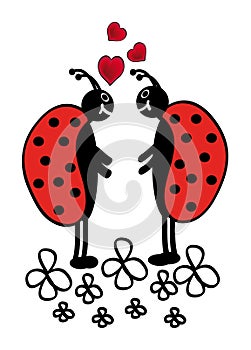 Two ladybugs