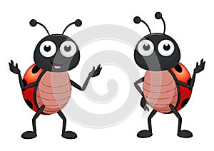 Two ladybugs in different positions. Cartoon ladybug isolated on white background
