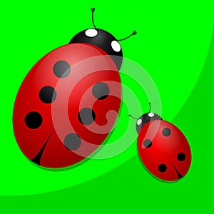 Two ladybugs on green background