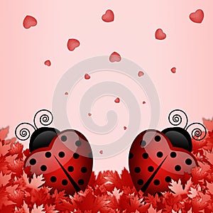 Two ladybugs in the shape of a heart