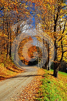 Two lane country road in fall