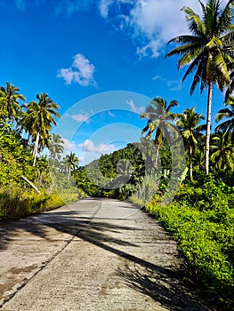 Two-lane Provincial Road