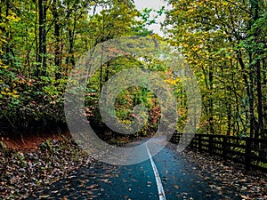 two lane road twisting through mountain scenery surrounded by autumn color foliage i