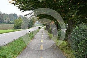 Two lanes cycle path running parallel with a main road.