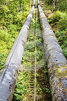 Two large black water pipes, converging in distance.