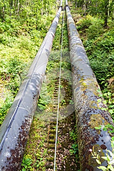 Two large black water pipes, converging in distance.