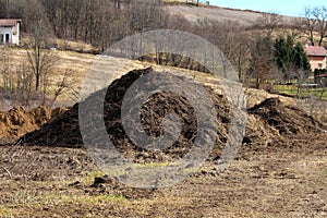 Two large compost piles made from dry soil mixed with tree roots and branches left at edge of local field