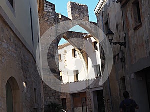 two large gothic style arches in vallbona de les monges, lerida, spain, europe