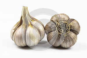 Two large heads of garlic isolated on a white background