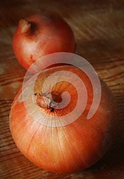 Two Large Onions on Wood