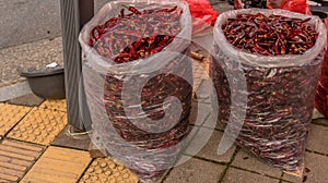 Two large plastic bags full of red chile peppers