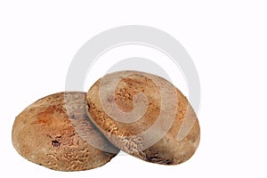 Two Large Portabella Mushrooms on White photo