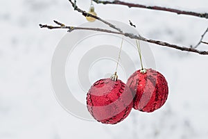 Two large red Christmas balls with decoration on a tree branch on a white snow background