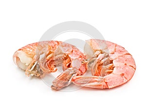 Two large shrimp