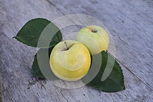 Two large yellow apples lie on an old wooden table outdoors