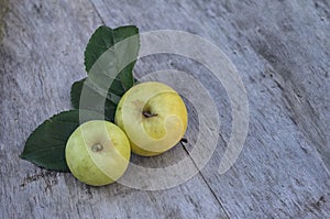 Two large yellow apples lie on an old wooden table outdoors