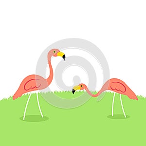 Two Lawn flamingo illustration