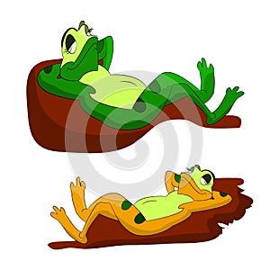 Two lazy frogs who sleep on pebbles, a cartoon on a white background.