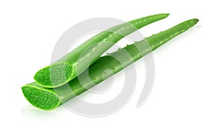 Two leaves of Aloe vera plant over white background. Natural ingredient for herbal cosmetics, cosmetology, dermatology,