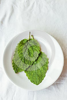 two leaves of fresh green sage on a white background. The concept of using herbs and spices at home.