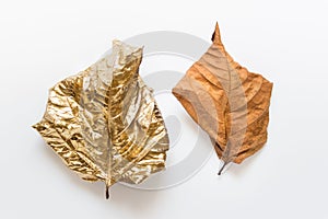 Two leaves golden and brown on white background