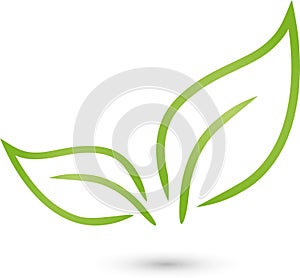 Two leaves, plant in green, spa and gardener logo, icon