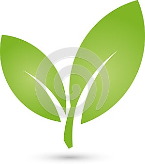 Two leaves, plant in green, spa and gardener logo, icon