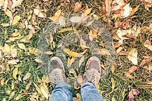 Two legs in jeans and sneakers on green grass and fallen autumn