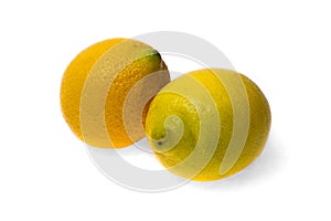 Two lemon fruits isolated